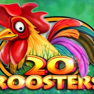 20 Roosters