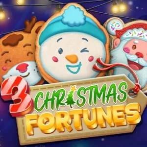 3 Christmas Fortunes