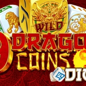 9 Dragon Coins Dice