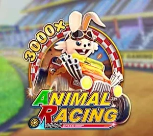 Animal Racing
