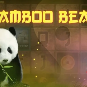 Bamboo Bear