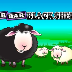 Bar Bar Black Sheep