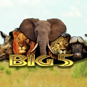 Big 5