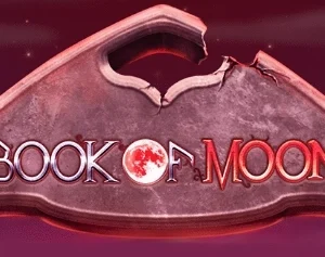 Book of Moon