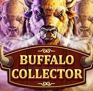 Buffalo Collector