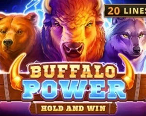 Buffalo Power: Hold and Win