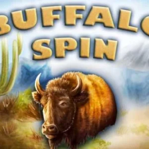 Buffalo Spin