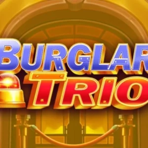 Burglar Trio