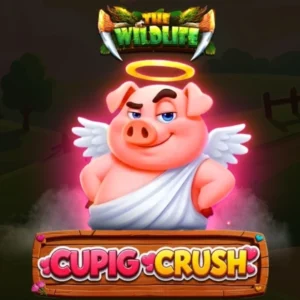 Cupig Crush