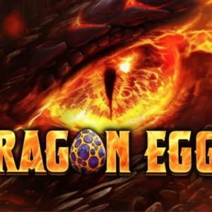 Dragon Eggs