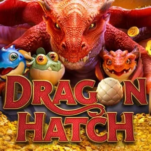 Dragon Hatch