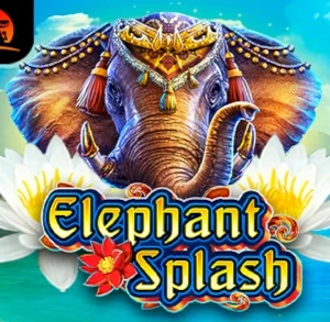 Elephant Splash