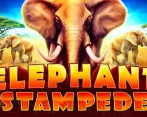 Elephant Stampede