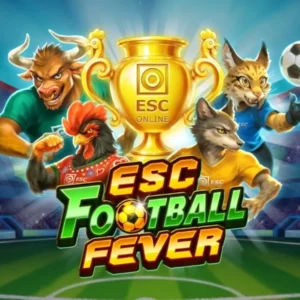 ESC Football Fever