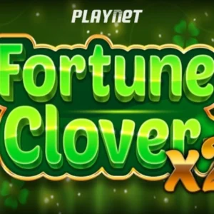 Fortune Clover x2