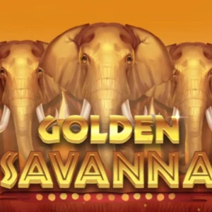 Golden Savanna