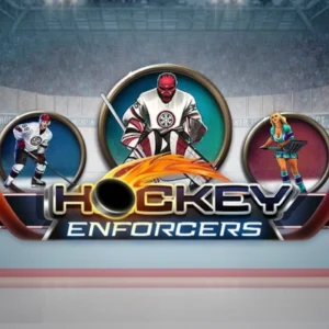 Hockey Enforcers