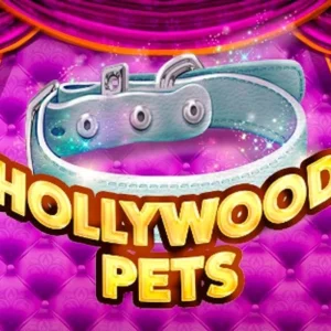 Hollywood Pets