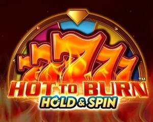 Hot to Burn Hold & Spin