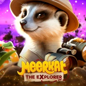 Meerkat