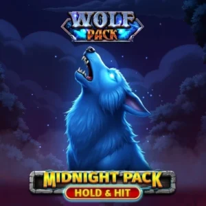 Midnight Pack - Hold & Hit