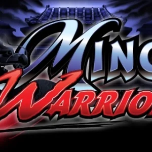 Ming Warrior