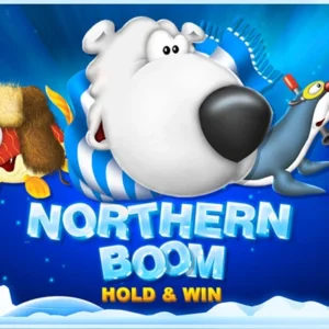 Northern Boom