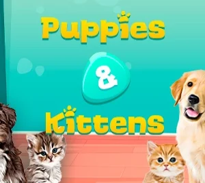Puppies & Kittens