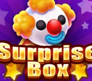 Surprise Box