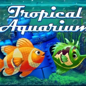 Tropical Aquarium