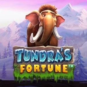 Tundra's Fortune