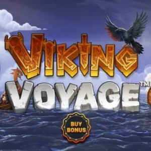 Viking Voyage