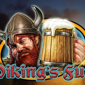 Viking's Fun