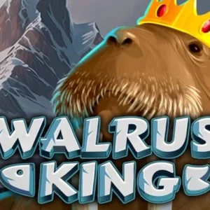 Walrus King