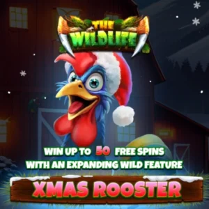 Xmas Rooster
